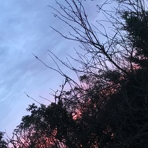 Meet your Posher, Cierra